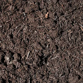 Mushroom Compost
